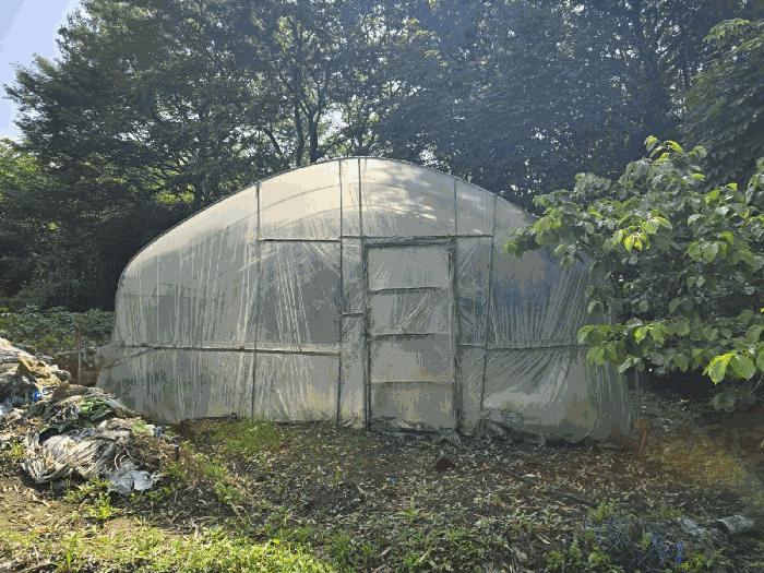 경상남도 하동군 북천면 화정리 산168 임야 경매 사진 9