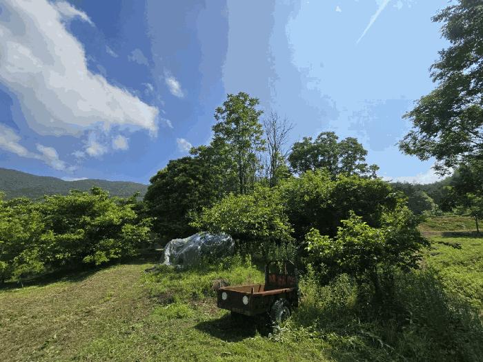 경상남도 하동군 북천면 화정리 산287 임야 경매 사진 2