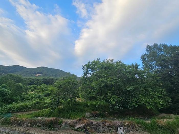 경상남도 하동군 북천면 화정리 산287 임야 경매 사진 44