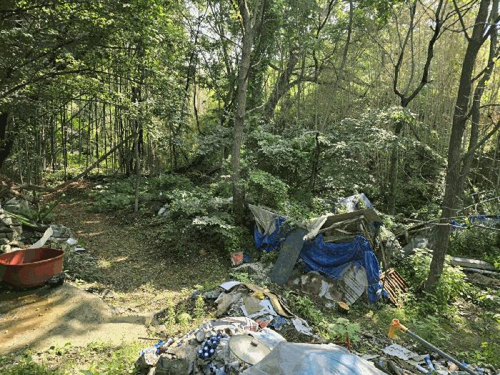 경상남도 하동군 북천면 화정리 산287 임야 경매 사진 7