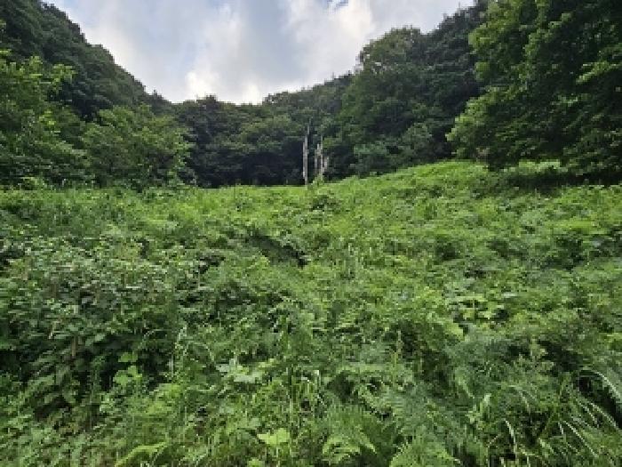 경상남도 하동군 화개면 용강리 산8 임야 경매 사진 16