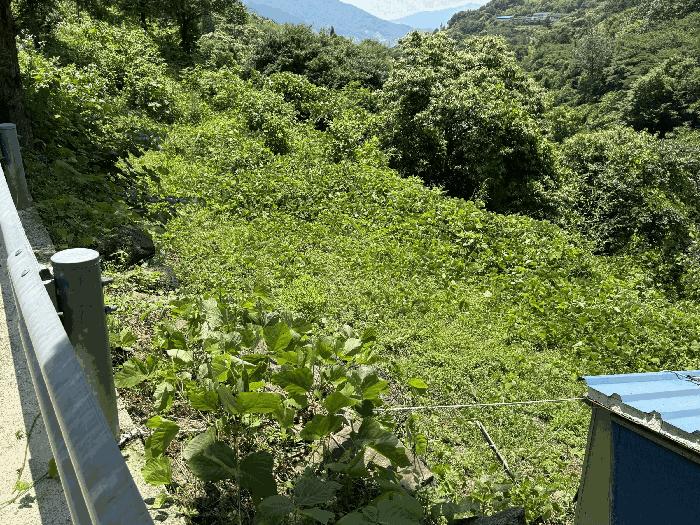 경상남도 하동군 화개면 용강리 산8 임야 경매 사진 2