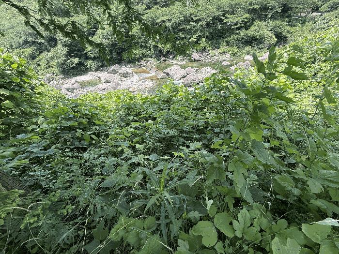 경상남도 하동군 화개면 용강리 산8 임야 경매 사진 3