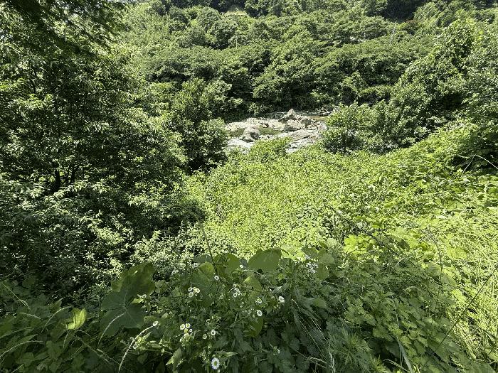경상남도 하동군 화개면 용강리 산8 임야 경매 사진 6