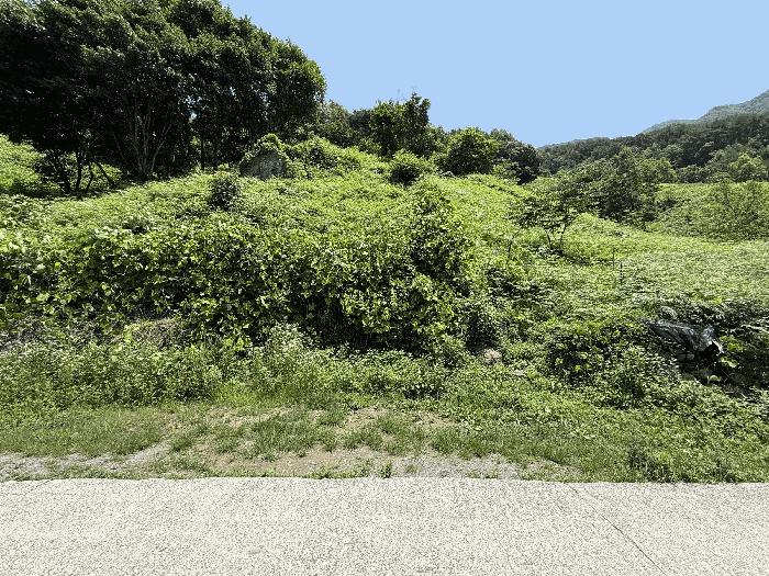 경상남도 하동군 화개면 용강리 산8 임야 경매 사진 7