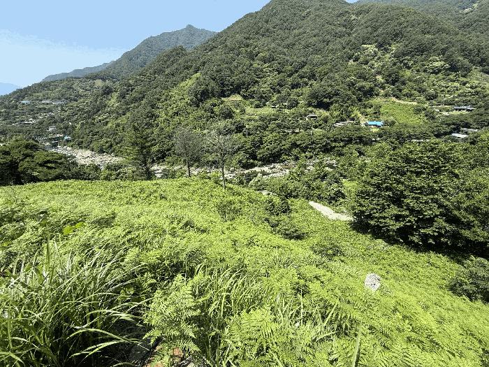 경상남도 하동군 화개면 용강리 산8 임야 경매 사진 9