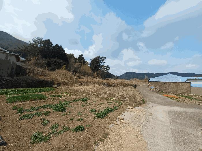 경상남도 남해군 창선면 광천리 833 답 경매 사진 8