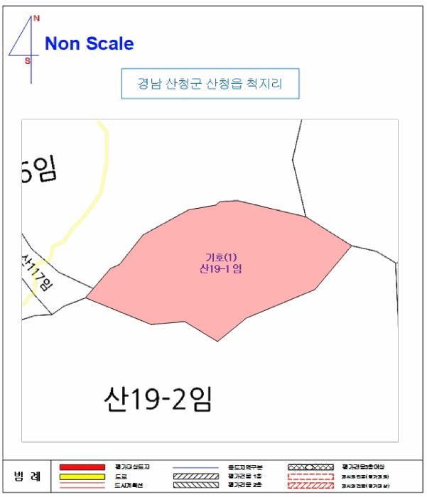 경상남도 산청군 산청읍 척지리 산19-1 임야 경매 사진 7