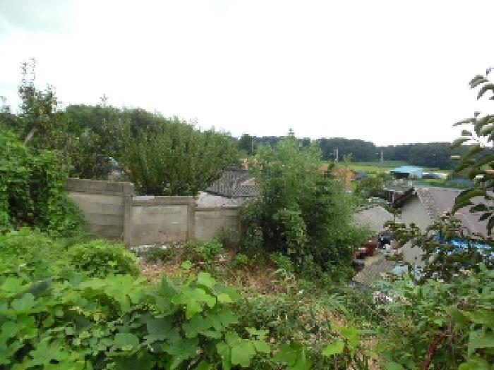 전북특별자치도 김제시 공덕면 황산리 1412 답 경매 사진 37