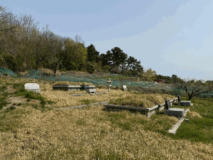 경상남도 사천시 곤양면 송전리 320-7 답 경매 사진 7