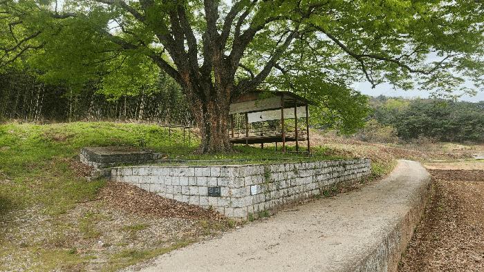 경상남도 진주시 지수면 금곡리 429 전 경매 사진 3