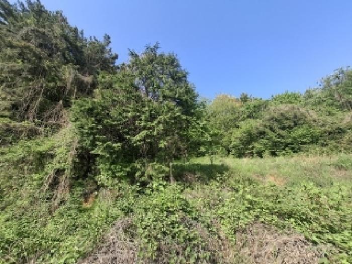 경상남도 남해군 남면 죽전리 1471-1 전 경매 사진 14