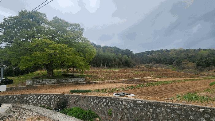 경상남도 남해군 남면 죽전리 1471-1 전 경매 사진 5