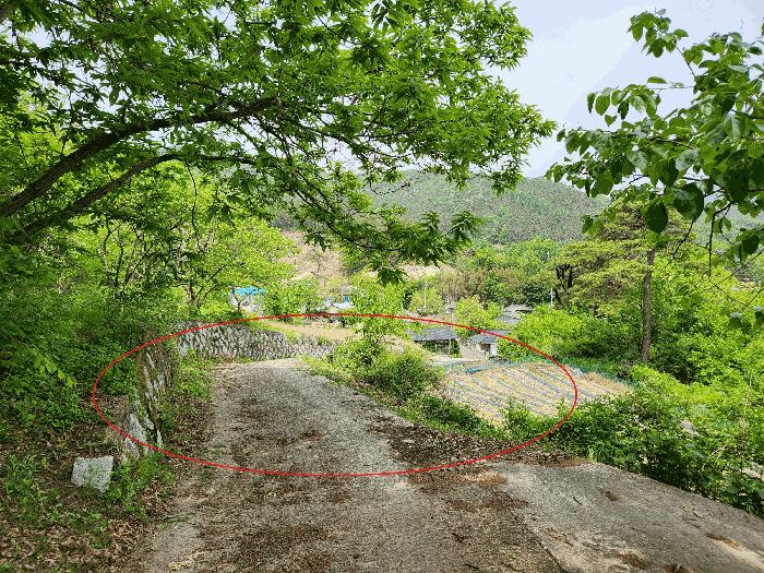 경상남도 산청군 오부면 오전리 1026 전 경매 사진 3