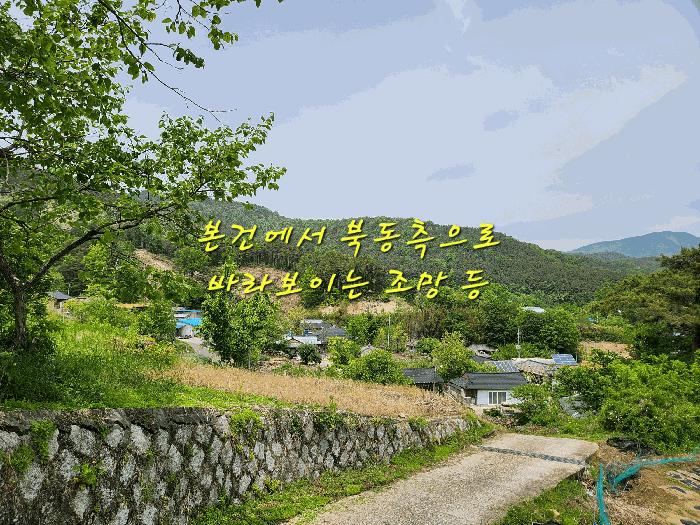 경상남도 산청군 오부면 오전리 1026 전 경매 사진 5