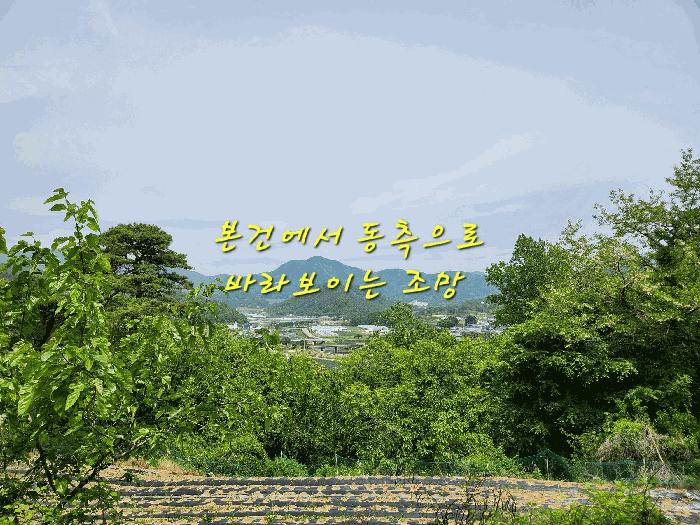 경상남도 산청군 오부면 오전리 1026 전 경매 사진 8