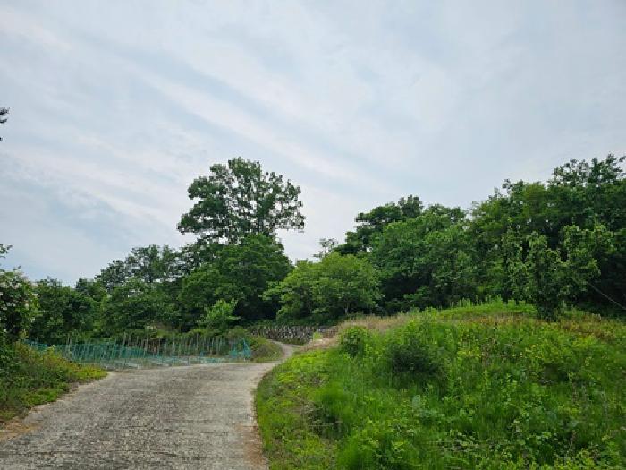 경상남도 산청군 오부면 오전리 1026 전 경매 사진 9