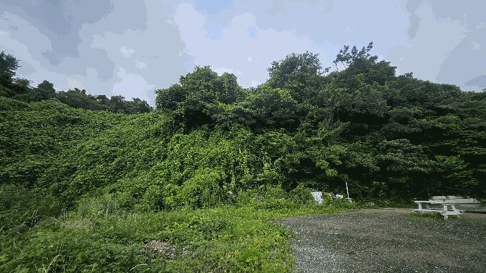 경상남도 거제시 장목면 시방리 195-2 펜션(캠핑장) 경매 사진 27