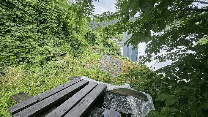 경상남도 거제시 장목면 시방리 195-2 펜션(캠핑장) 경매 사진 30