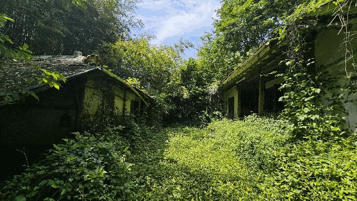 경상남도 사천시 곤양면 환덕리 777 주택 경매 사진 4