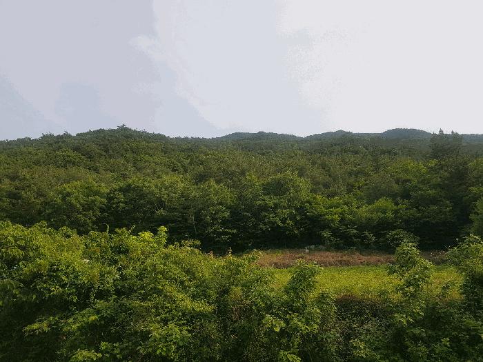 경상남도 남해군 삼동면 물건리 산235 임야 경매 사진 1