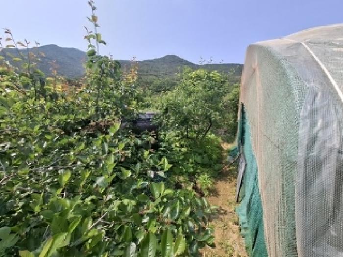 경상남도 남해군 삼동면 물건리 산235 임야 경매 사진 10