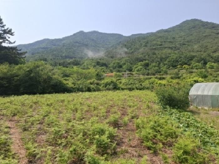 경상남도 남해군 삼동면 물건리 산235 임야 경매 사진 11