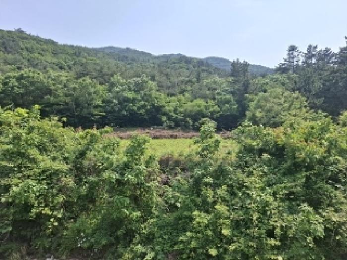 경상남도 남해군 삼동면 물건리 산235 임야 경매 사진 6