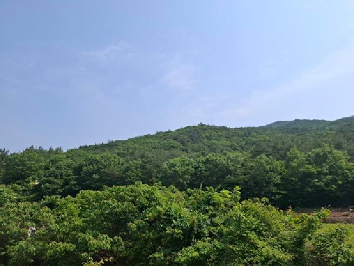 경상남도 남해군 삼동면 물건리 산235 임야 경매 사진 7
