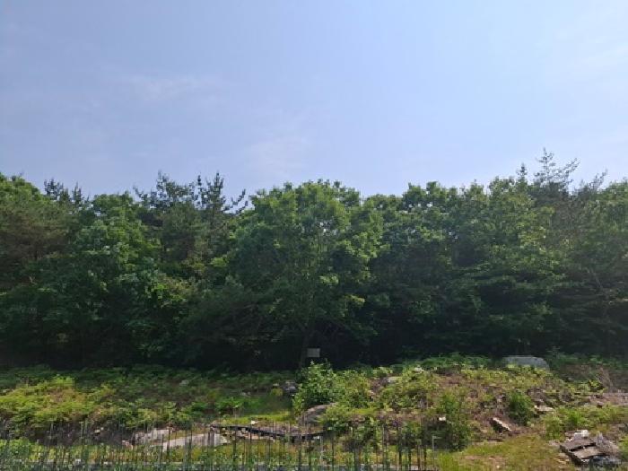 경상남도 남해군 삼동면 물건리 산235 임야 경매 사진 9