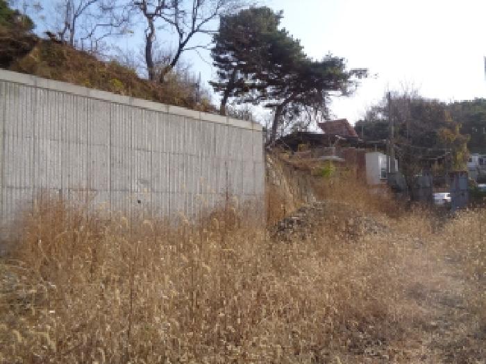 전북특별자치도 전주시 완산구 중화산동1가 160-43 전 경매 사진 14