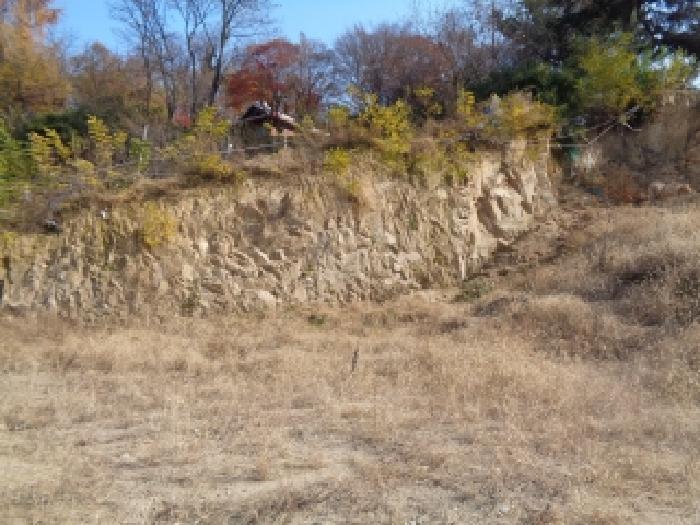전북특별자치도 전주시 완산구 중화산동1가 160-43 전 경매 사진 19