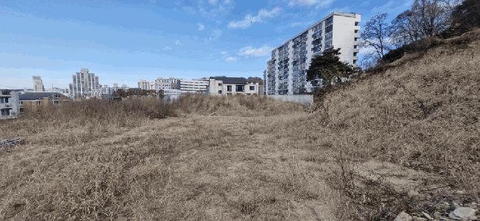 전북특별자치도 전주시 완산구 중화산동1가 160-43 전 경매 사진 8