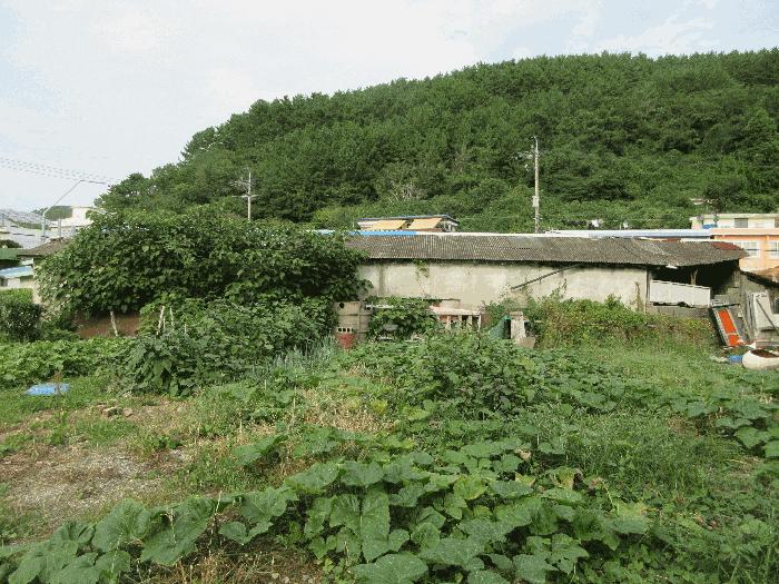 경상남도 거제시 동부면 산양리 369-3 답 경매 사진 18