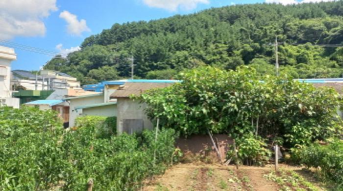 경상남도 거제시 동부면 산양리 369-3 답 경매 사진 44