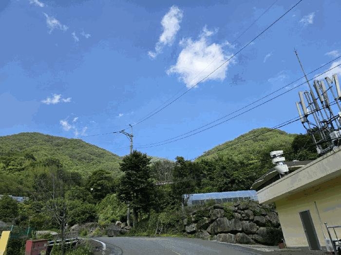 경상남도 하동군 화개면 부춘리 산87-1 임야 경매 사진 5