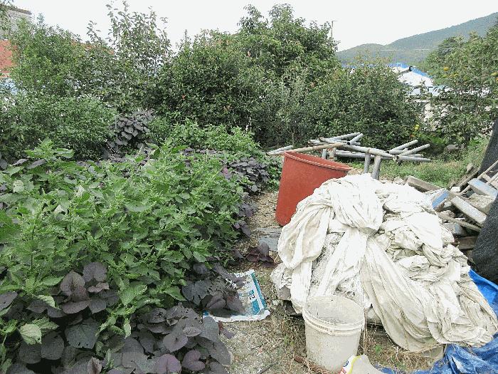 경상남도 거제시 동부면 산양리 906 답 경매 사진 27