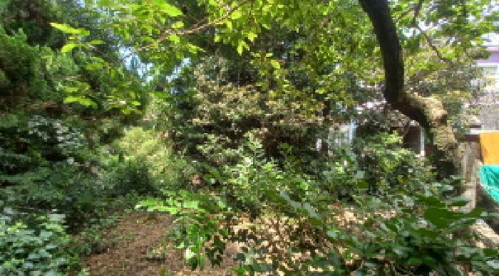 경상남도 거제시 동부면 산양리 931 답 경매 사진 59