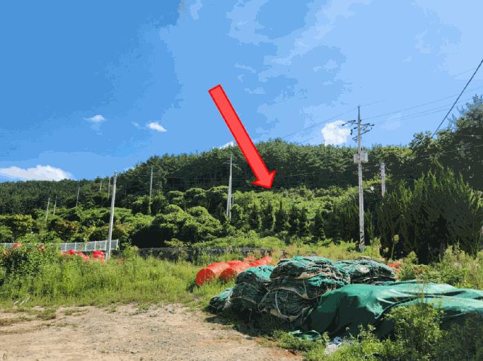 경상남도 고성군 임야