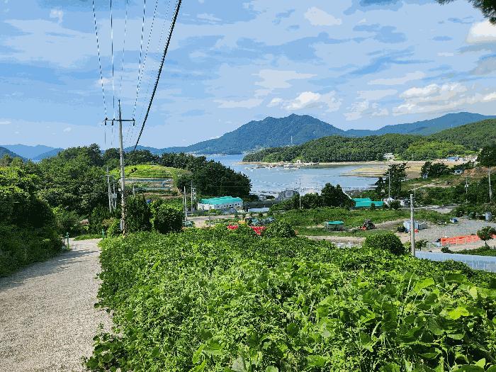 경상남도 고성군 하일면 용태리 산11-5 임야 경매 사진 4