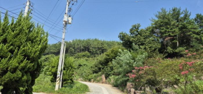 경상남도 고성군 하일면 용태리 산11-5 임야 경매 사진 5