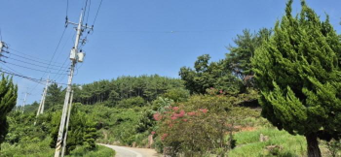 경상남도 고성군 하일면 용태리 산11-5 임야 경매 사진 6