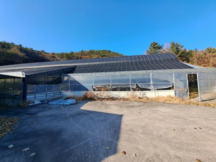 전라남도 고흥군 도양읍 관리 272 창고 경매 사진 10