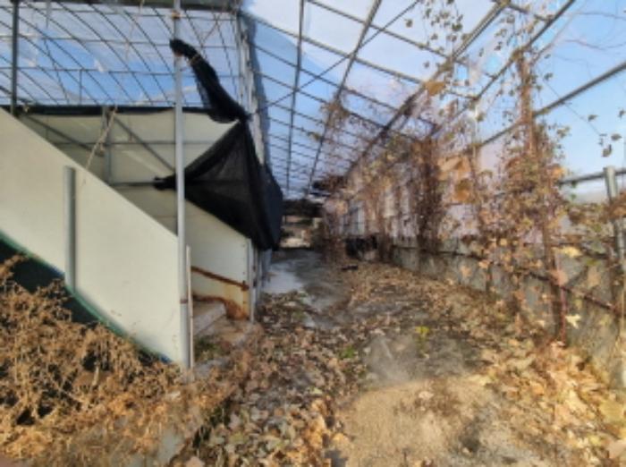 전라남도 고흥군 도양읍 관리 272 창고 경매 사진 31