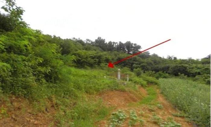 경상남도 창녕군 전