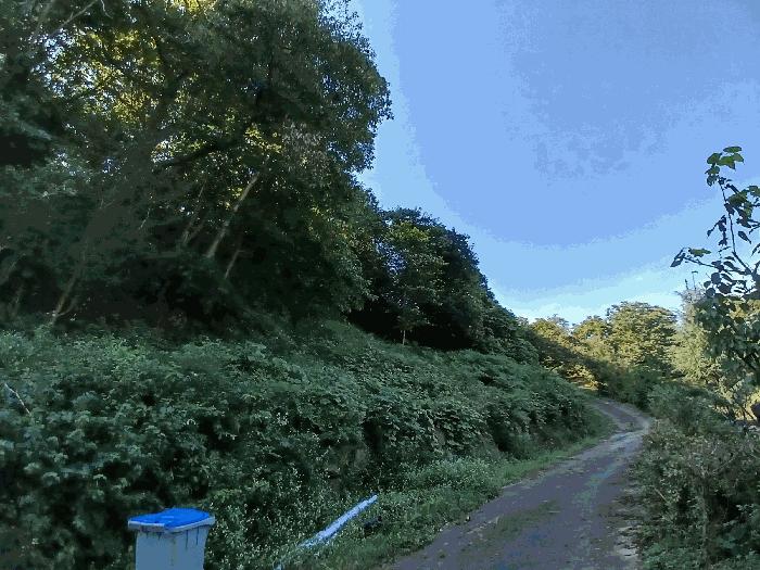 전라남도 구례군 전