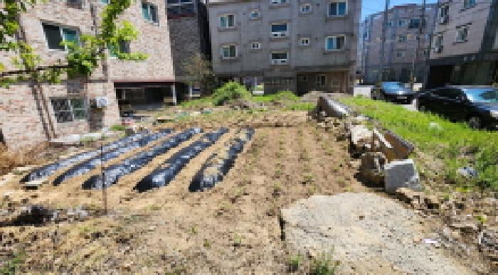 전북특별자치도 군산시 오식도동 685-10 대지 경매 사진 7