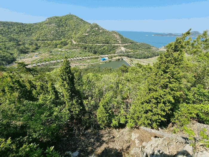 전북 군산시 임야