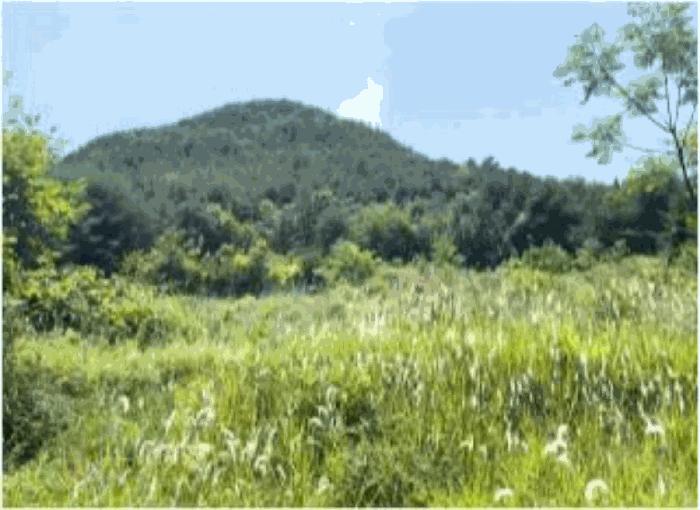 전라남도 고흥군 점암면 대룡리 589-1 전 경매 사진 3
