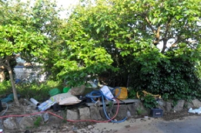 전북특별자치도 고창군 상하면 장호리 817 전 경매 사진 12